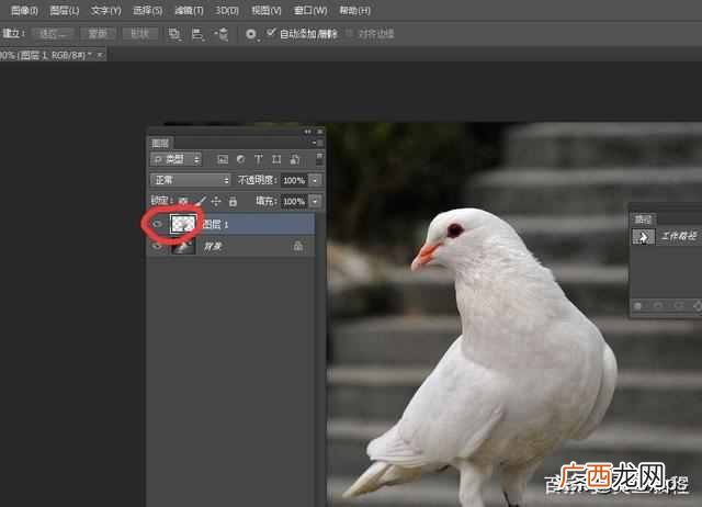 ps钢笔工具怎么用？新手必看教程，最简单的使用
