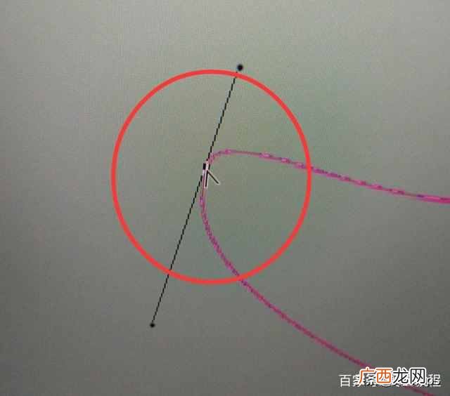 ps钢笔工具怎么用？新手必看教程，最简单的使用