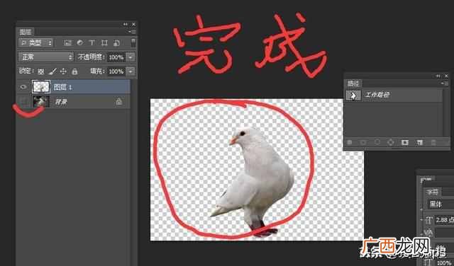 ps钢笔工具怎么用？新手必看教程，最简单的使用