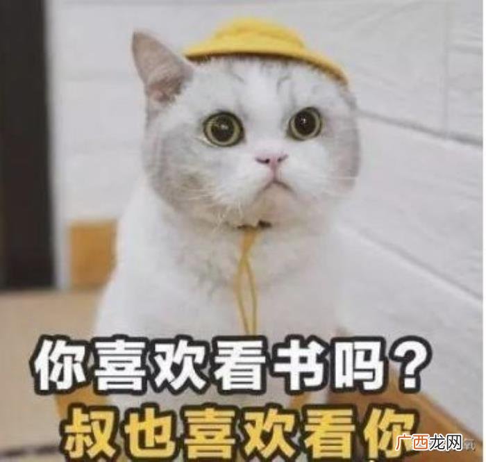 辛正蕾的嘴，辛芷蕾新剧里的嘴是玻尿酸丰唇失败变成三瓣嘴了吗
