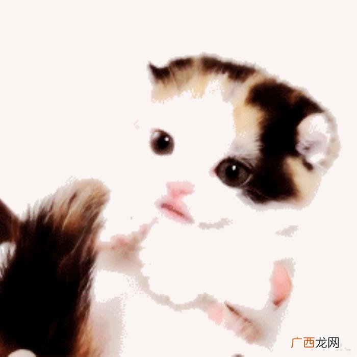 辛正蕾的嘴，辛芷蕾新剧里的嘴是玻尿酸丰唇失败变成三瓣嘴了吗