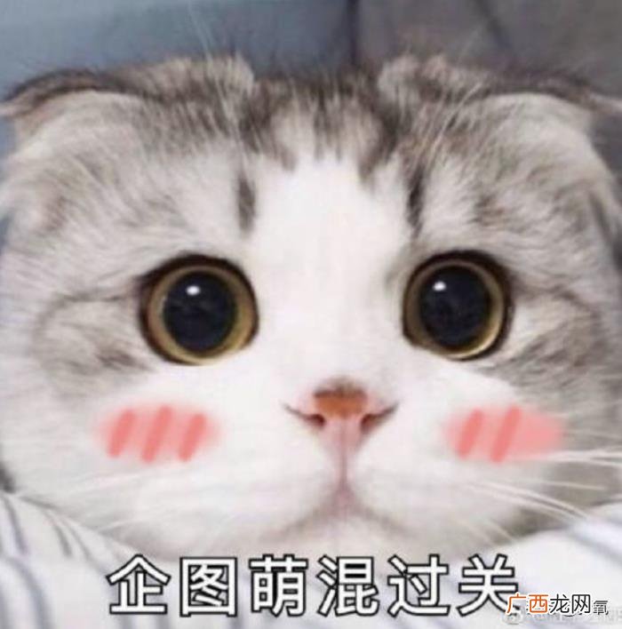 辛正蕾的嘴，辛芷蕾新剧里的嘴是玻尿酸丰唇失败变成三瓣嘴了吗