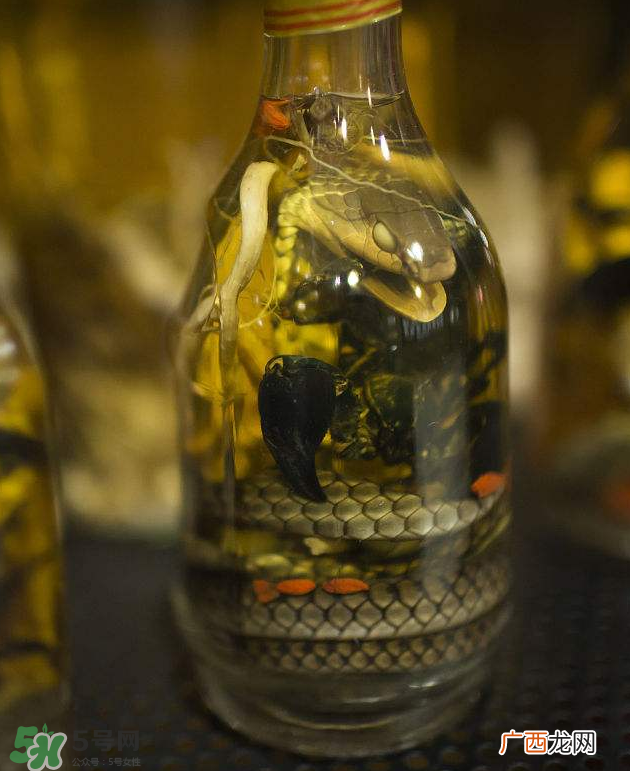 毒蛇泡酒有毒吗？毒蛇泡酒能喝吗？
