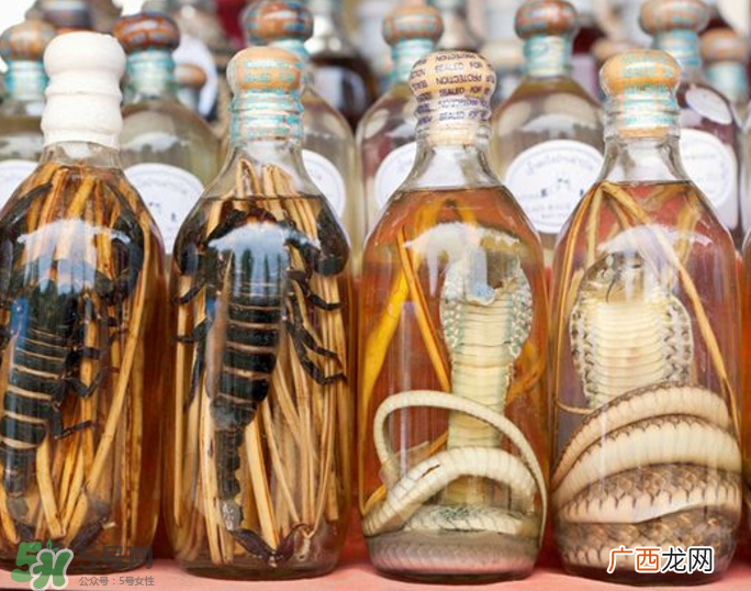 毒蛇泡酒有毒吗？毒蛇泡酒能喝吗？