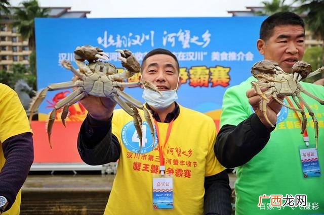 江苏特种养殖基地 江苏毛蟹养殖场