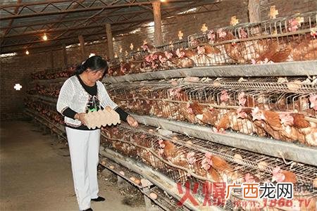 高薪招聘养殖工人 江西养殖工人