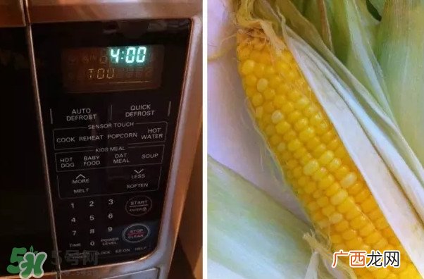 微波炉和烤箱哪个实用？微波炉与光波炉有什么区别