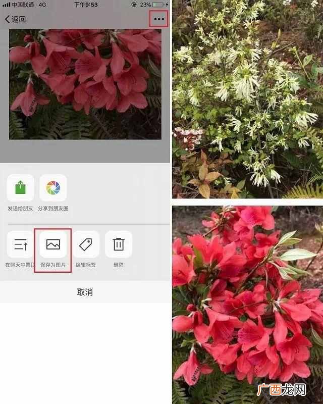iphone怎么截长图？最新款手机详细截图教程