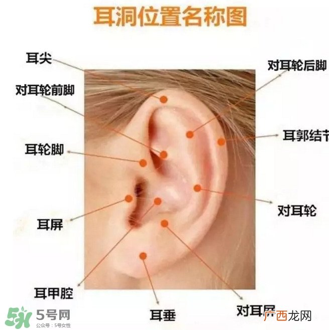 打耳洞多少钱一对？打耳洞相当于什么疼