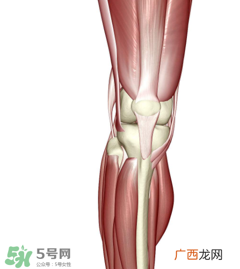 风湿会影响怀孕吗？风湿会遗传吗？