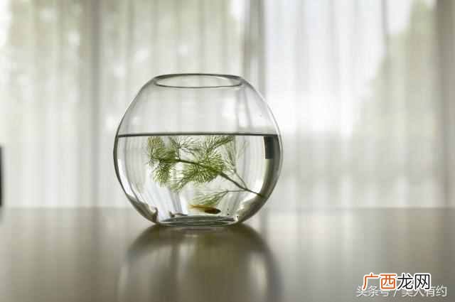冬天脸上干燥脱皮怎么办？四个常用方法，坚持