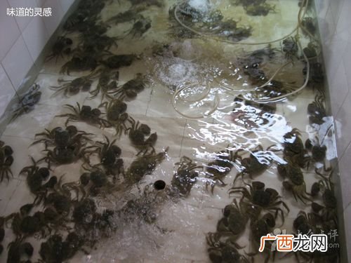 花蟹有人工养殖吗 哪有人工养殖螃蟹