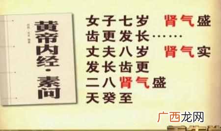怎么样补肾?食疗补肾效果最佳