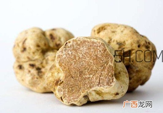 松露怎么分辨真假？松露怎么清洗