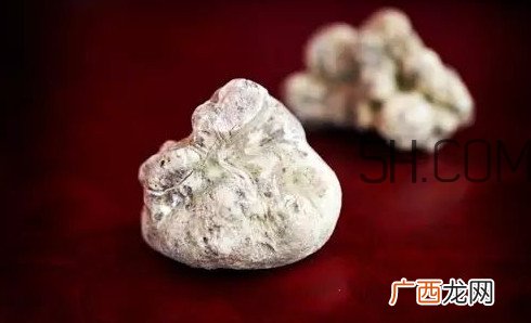 白松露一公斤多少钱？白松露到底有多贵有多好呢
