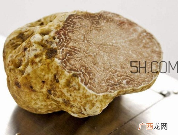 白松露一公斤多少钱？白松露到底有多贵有多好呢