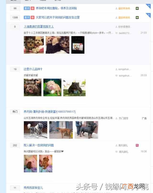 怎么在贴吧发帖才不会删,这个技巧必须掌握