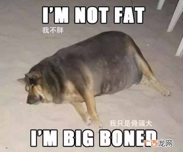骨架小怎么办？教你分辨你是大骨架还是小骨架