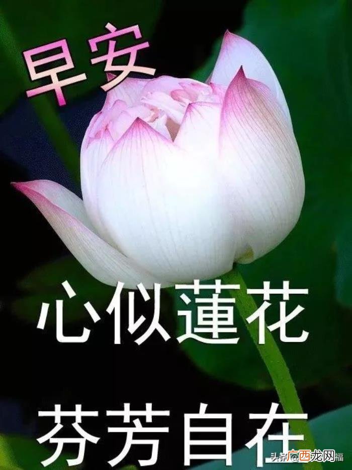 微信早安文字祝福图片大全 祝福朋友的话语
