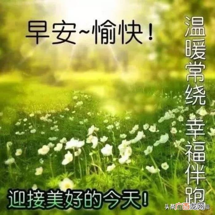 微信早安文字祝福图片大全 祝福朋友的话语