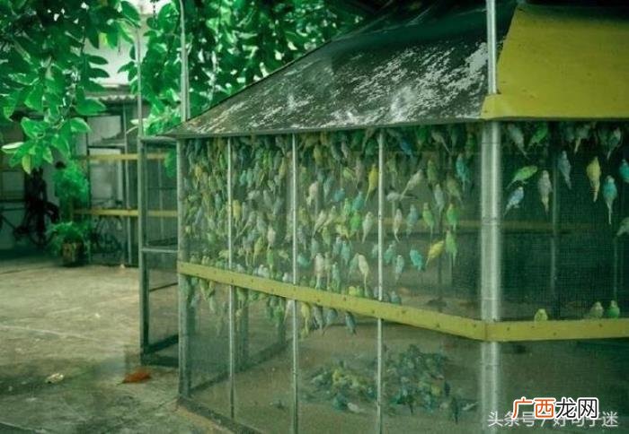 生活中很现实的一段话 挺现实的一段话