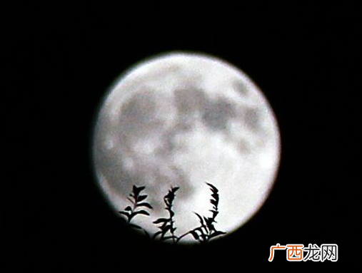 中秋节能上坟吗？中秋节上坟买什么水果？