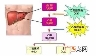 喝酒脸红怎么回事？脸红喝酒好还是不好