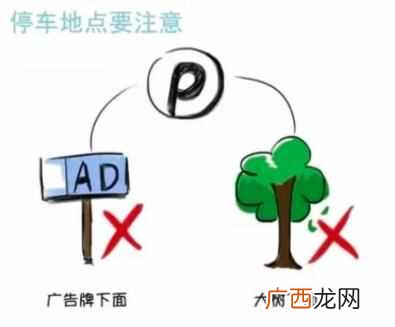 台风来了怎么办？教你如何自救