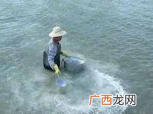 漂白粉怎么用？教你正确的用法