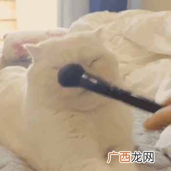 腮红怎么用更自然?腮红打的好,秒变小仙女