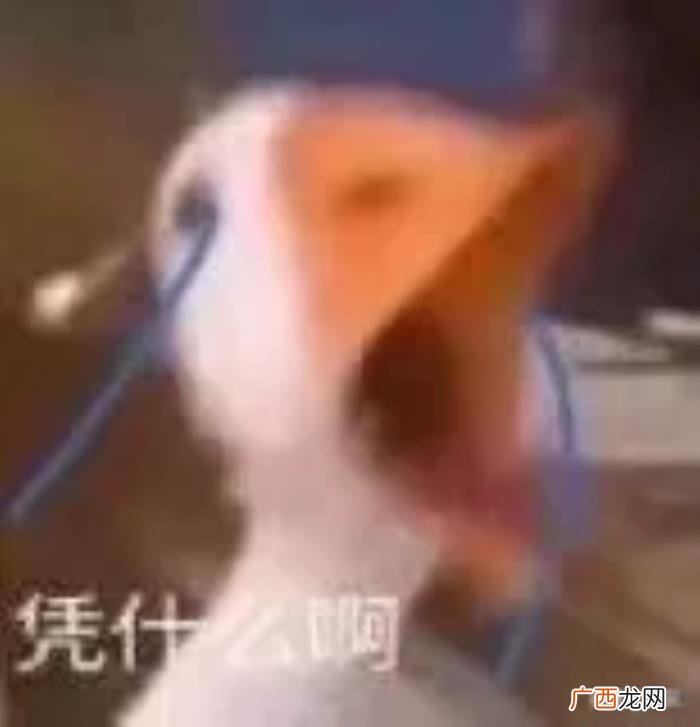 杨幂谈减肥，杨幂堪称减肥灯塔里无法跨越的巅峰