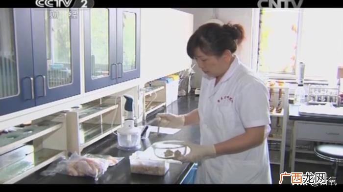 杨幂谈减肥，杨幂堪称减肥灯塔里无法跨越的巅峰