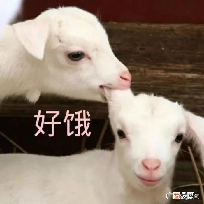杨幂谈减肥，杨幂堪称减肥灯塔里无法跨越的巅峰