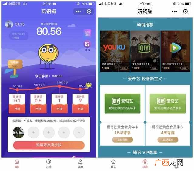 爱奇艺会员代理一月低至1至3元！