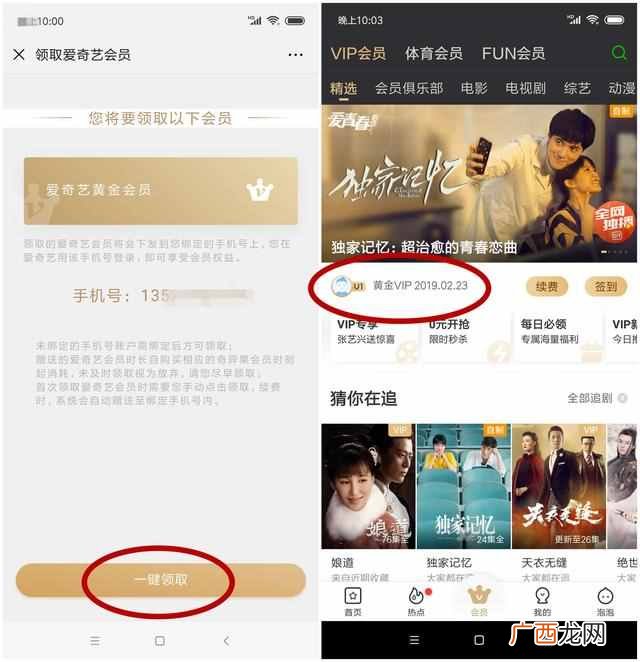 爱奇艺会员代理一月低至1至3元！