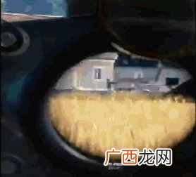 绝对求生辅助全网最便宜 ,功能最全不封号!