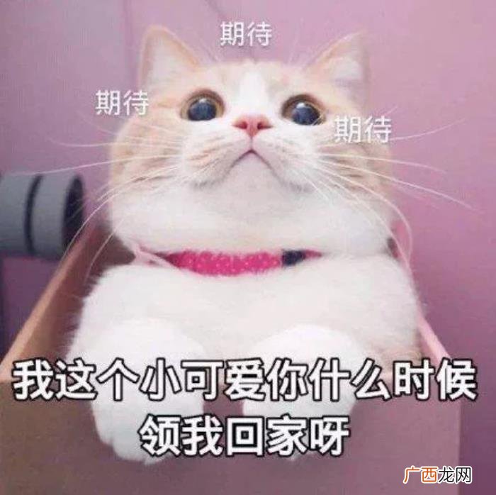 撩小哥哥的套路句子 说话套路撩到男生
