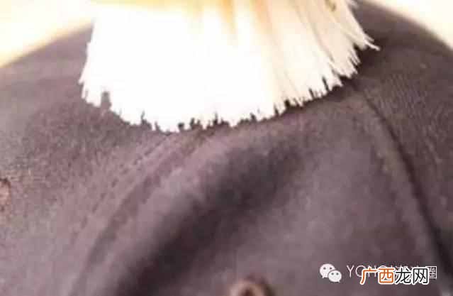 棒球帽怎么洗？这才是正确的护理方法