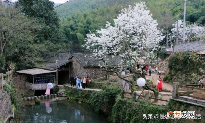 不能停止想一件事，但也不能停止向往