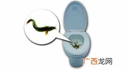 家里马桶堵了怎么办？省钱又省心，几分钟搞定