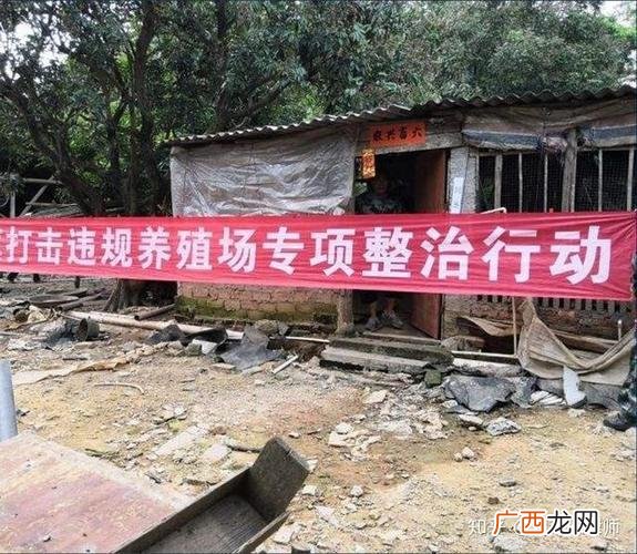 政府强制关闭畜禽养殖场对吗 商城县养殖场关闭