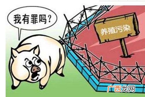 政府强制关闭畜禽养殖场对吗 商城县养殖场关闭