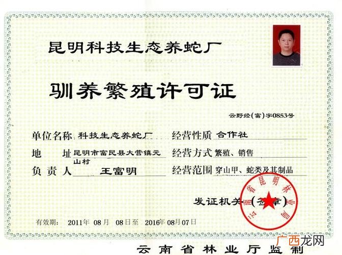 人工养殖的蛇 蛇类养殖证