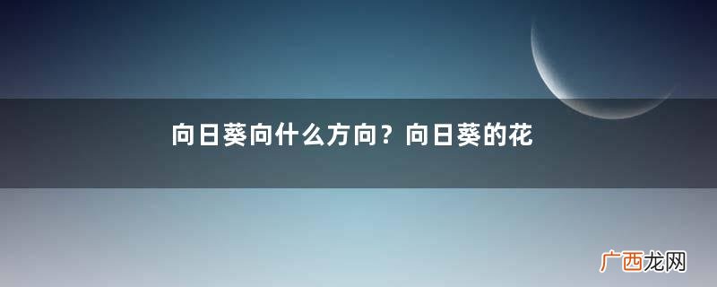 向日葵向什么方向？向日葵的花语是什么