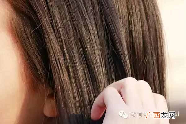 教你几招解决脱发原因 爱掉头发怎么办