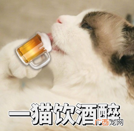 吸鸭表情包吸鸭动图