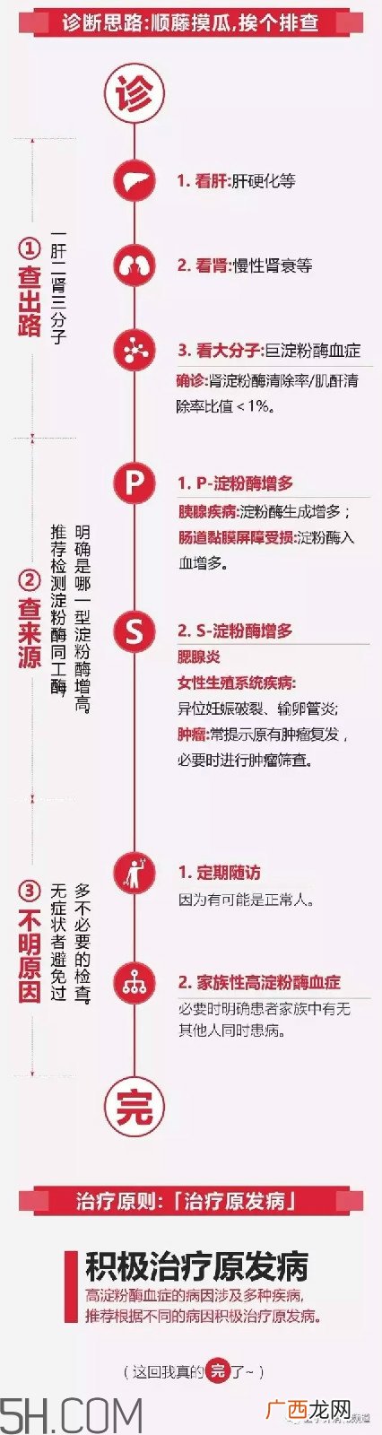 淀粉酶高是怎么回事?淀粉酶高有什么危害