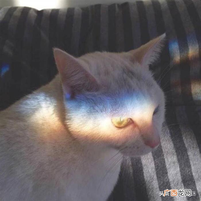 心里特别想念一个人的说说 特别想念一个人的句子