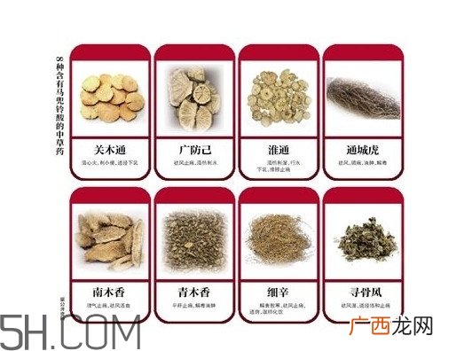 含马兜铃酸的药都不能吃吗？马兜铃酸真的会致癌吗