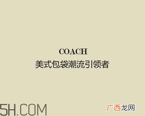 Tapestry是什么牌子Tapestrycoach是什么牌子